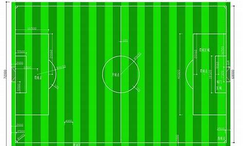 世界杯足球场的面积是7000_世界杯足球场的面积是7000公顷吗