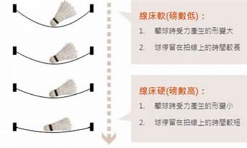 羽毛球磅数如何选择最好_羽毛球磅数怎样选择