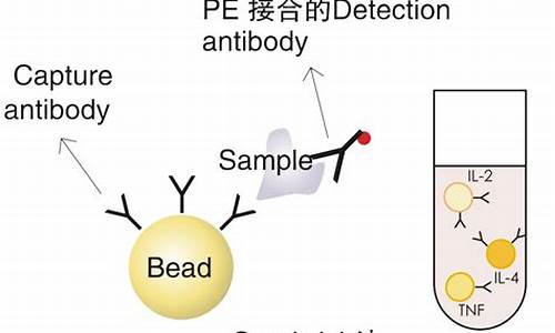 cba测细胞因子_cba检测细胞因子